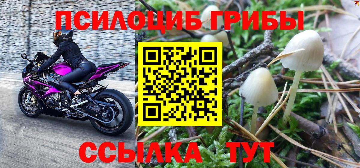 Псилоцибиновые грибы прущие грибы  Псилоцибиновые грибы Magic Shrooms  Тихорецк  Вход с VPN 